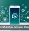 AI Makes WhatsApp Business Setup Easier